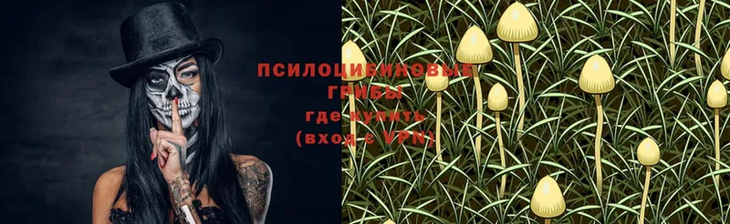 Псилоцибиновые грибы Magic Shrooms  OMG зеркало  Белоусово  магазин   